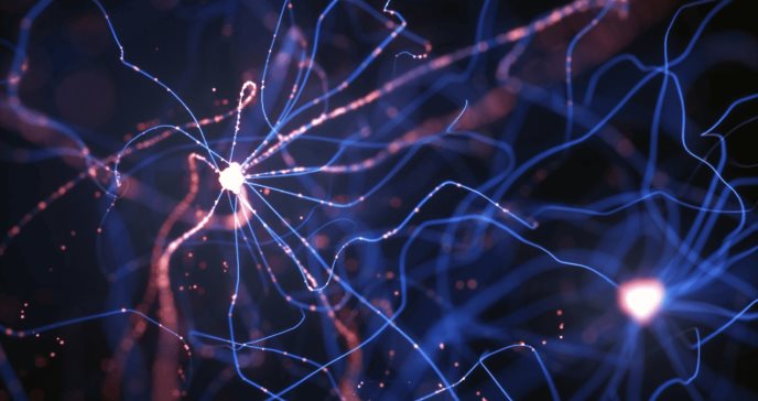 Qué es el electroma, la red bioeléctrica del cuerpo humano poco conocida y su vínculo con el cáncer