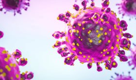 Alto nivel de riesgo  por el virus Oropouche en Latinoamérica