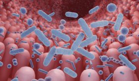 Estudio revela que el microbioma intestinal puede generar enfermedades cardiovasculares