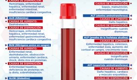 Referencia rápida de química sanguínea | Infografía