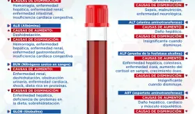 Referencia rápida de química sanguínea | Infografía
