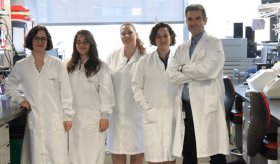 Identifican nuevo factor de riesgo cardiovascular y un posible fármaco para reducirlo