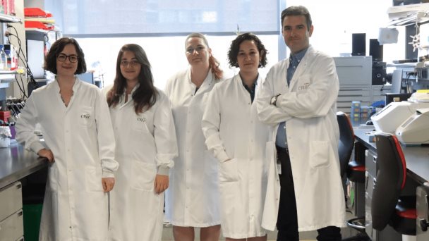 Identifican nuevo factor de riesgo cardiovascular y un posible fármaco para reducirlo