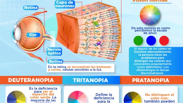 Día de concienciación sobre el daltonismo | Infografía Día de concienciación sobre el daltonismo | Infografía