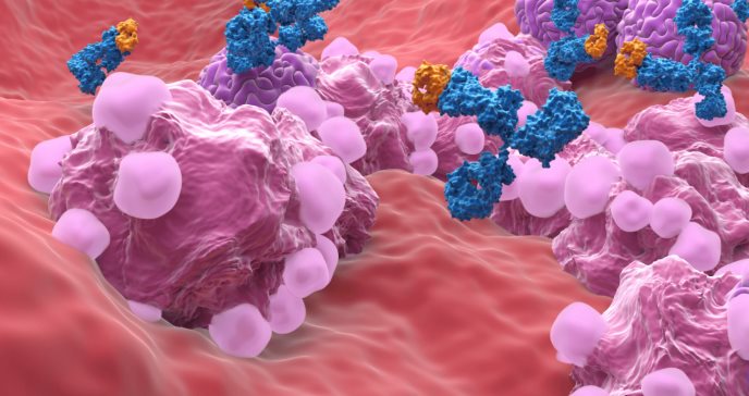 ¿Cómo el envejecimiento del sistema inmunológico impulsa el cáncer?