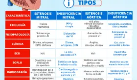 Valvulopatías | Infografía
