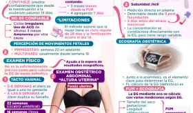 ¿Cómo calcular la edad gestacional obstétrica? | Infografía