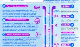 Cerebro y sueño | Infografía