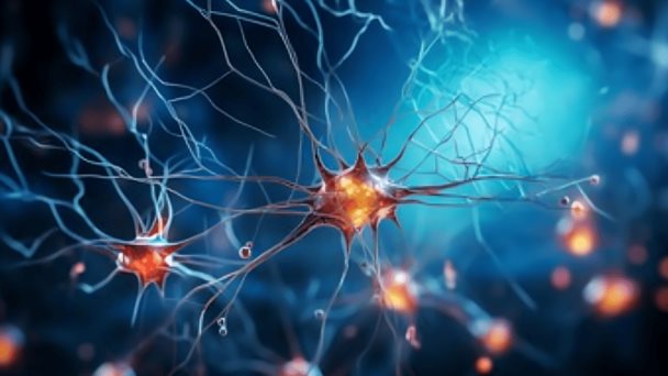 Mutación genética es capaz de provocar una forma de parkinsonismo de aparición temprana 