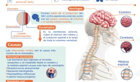 Día Mundial De L a Meningitis