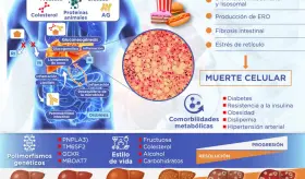 Enfermedad Hepática Por Deposito De Grasa