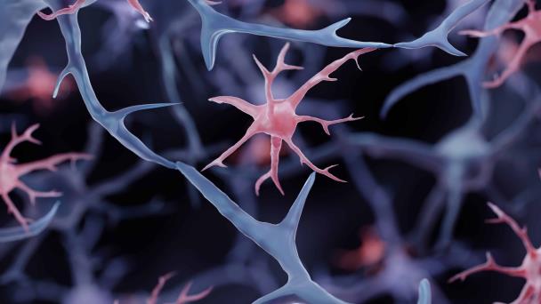Las microglías: Así son las células que pueden salvar o dañar tu cerebro Las microglías: Así son las células que pueden salvar o dañar tu cerebro