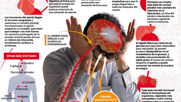 Así actúa el estrés Así actúa el estrés