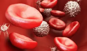 Riesgo de embolia sistémica y reducción de hemorragias graves en tratamientos anticoagulantes