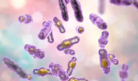 El microondas podría afectar la calidad nutricional de los alimentos por cambios químicos en componentes