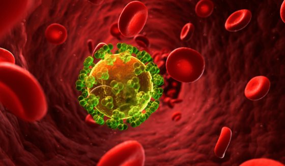 Importancia de la Terapia Antirretroviral: Rompe el ciclo del VIH ahora 
