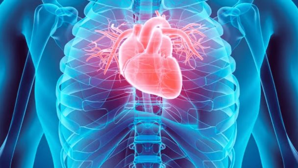 Cirugía histórica: Realizan primer trasplante de corazón sin que deje de latir Cirugía histórica: Realizan primer trasplante de corazón sin que deje de latir