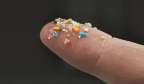 Microplásticos presentes en el ambiente podrían afectar la salud reproductiva, digestiva y respiratoria