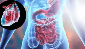 Pacientes con enfermedades inflamatorias intestinales tienen mayor riesgo de tener arritmias cardiacas