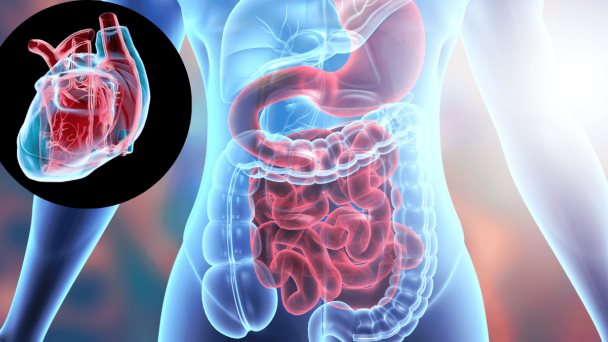 Pacientes con enfermedades inflamatorias intestinales tienen mayor riesgo de tener arritmias cardiacas Pacientes con enfermedades inflamatorias intestinales tienen mayor riesgo de tener arritmias cardiacas