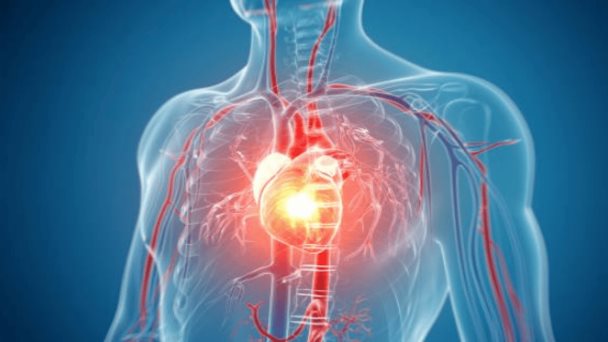 Avances en el tratamiento de la amiloidosis cardíaca por transtiretina: Nuevos datos de congresos 2024 Avances en el tratamiento de la amiloidosis cardíaca por transtiretina: Nuevos datos de congresos 2024