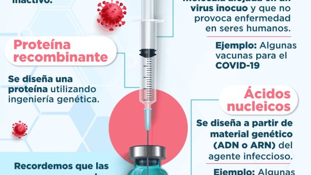 4 TIPOS DE VACUNAS 4 TIPOS DE VACUNAS