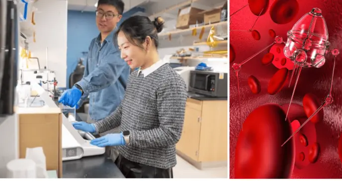 Microrobots biorreabsorbibles para la administración de medicamentos en órganos y tumores específicos Microrobots biorreabsorbibles para la administración de medicamentos en órganos y tumores específicos