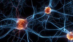 Mecanismo de acción del nuevo medicamento para tratar la esquizofrenia