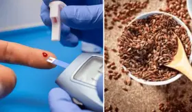 Aumentar la ingesta de lignanos podría reducir la mortalidad en personas con diabetes tipo 2