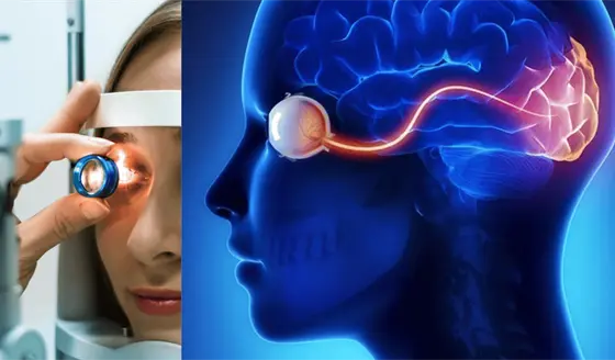 Estudio revela que un simple escaneo de retina podría predecir el riesgo de accidente cerebrovascular