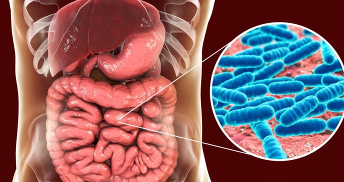 SIBO: Causas, síntomas y tratamientos para el sobrecrecimiento bacteriano del intestino delgado