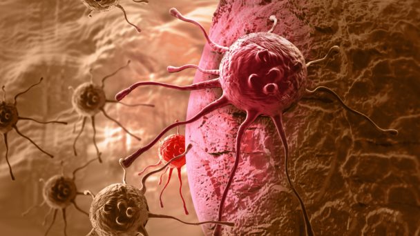 El desequilibrio en los ritmos circadianos podría aumentar la probabilidad de desarrollar neoplasias El desequilibrio en los ritmos circadianos podría aumentar la probabilidad de desarrollar neoplasias