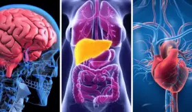 ¿Es seguro beber con moderación? Tres efectos del abuso de alcohol: sueño, depresión y demencia