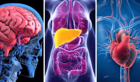 ¿Es seguro beber con moderación? Tres efectos del abuso de alcohol: sueño, depresión y demencia