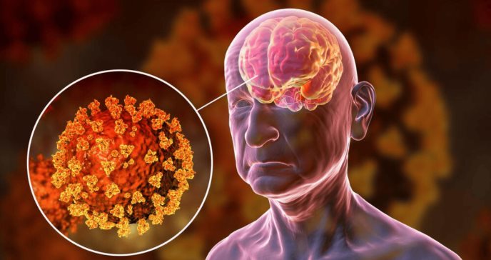 Científicos identifican el ´punto caliente´ del cerebro donde surge el envejecimiento