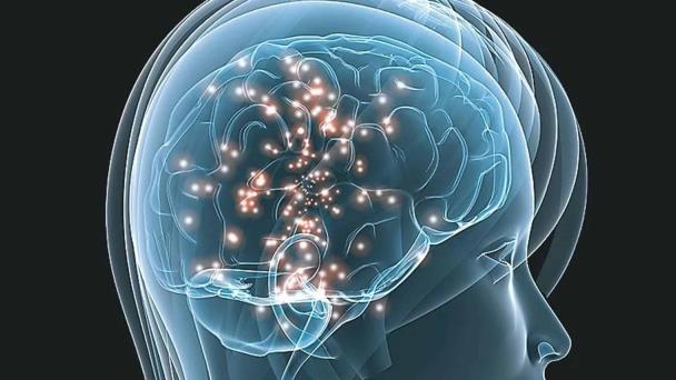 ¿Es el cerebro realmente estéril? Debate científico sobre un posible microbioma cerebral ¿Es el cerebro realmente estéril? Debate científico sobre un posible microbioma cerebral