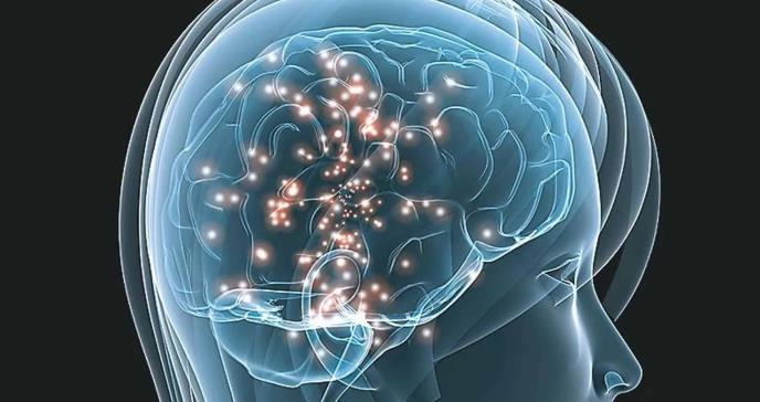 ¿Es el cerebro realmente estéril? Debate científico sobre un posible microbioma cerebral