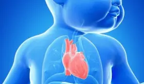 ¿Por qué los recién nacidos tienen una mayor capacidad para regenerar su corazón que los adultos?