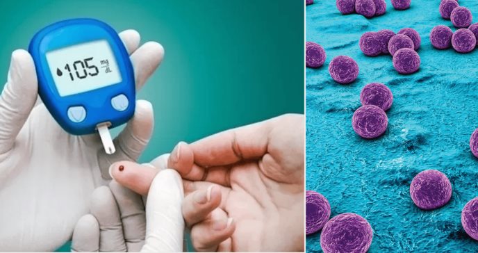 La presencia de staphylococcus aureus en diabéticos aumenta la resistencia y mutaciones bacterianas