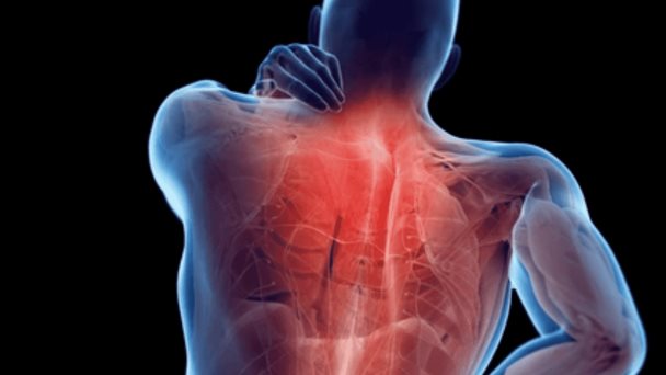 ¿Por qué los nudos musculares causan tanto dolor? Te contamos cómo aliviarlo ¿Por qué los nudos musculares causan tanto dolor? Te contamos cómo aliviarlo