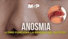 Anosmia: ¿Cómo funciona la pérdida del olfato?