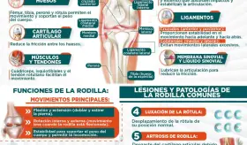 LA ARTICULACIÓN DE LA RODILLA