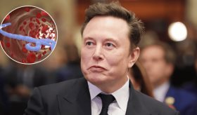 Elon Musk revela que