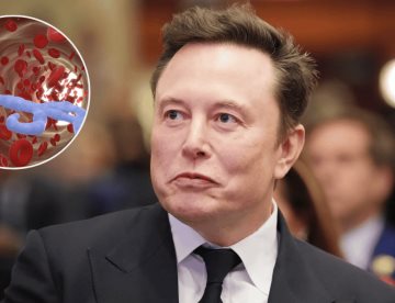 Elon Musk revela que accidentalmente borraron el programa del ébola en el gobierno de Trump