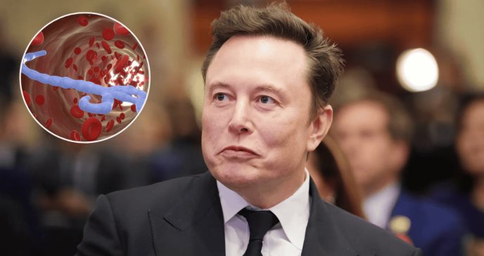 Elon Musk revela que accidentalmente borraron el programa del ébola en el gobierno de Trump