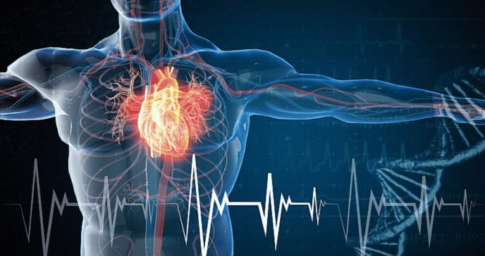 Descubren que un fármaco para la osteoporosis podría tratar la miocardiopatía dilatada, según estudio