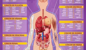 MARCADORES DE CÁNCER DE CÉLULAS
