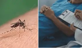 Primera muerte por dengue en 2025: Puerto Rico enfrenta aumento alarmante de casos