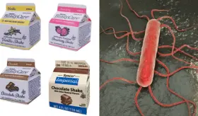 Brote de listeria vinculado a batidos suplementarios congelados deja 12 muertos en EE.UU.