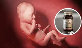 OMS recomienda ácido fólico para prevenir la espina bífida y la anencefalia en el embarazo